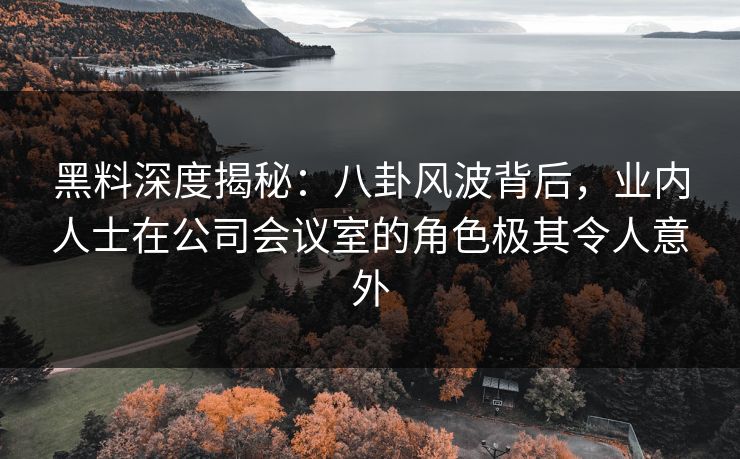 黑料深度揭秘：八卦风波背后，业内人士在公司会议室的角色极其令人意外