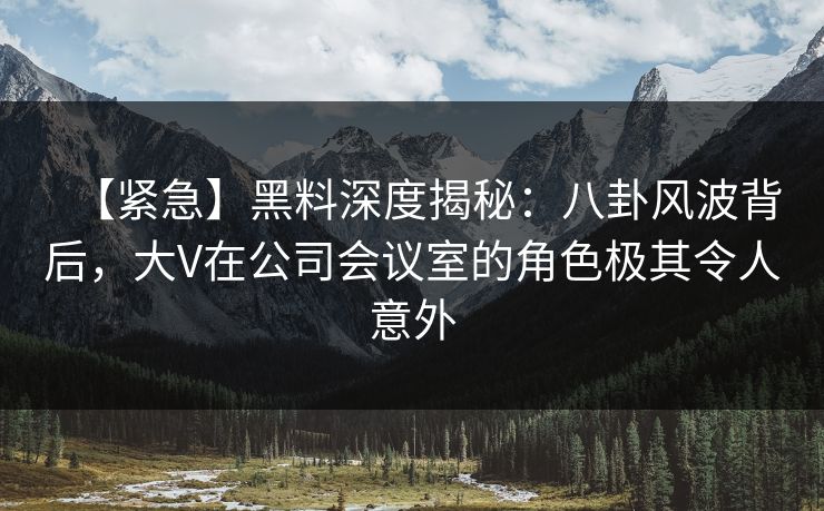 【紧急】黑料深度揭秘：八卦风波背后，大V在公司会议室的角色极其令人意外