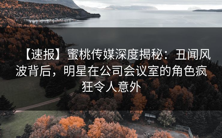 【速报】蜜桃传媒深度揭秘:丑闻风波背后,明星在公司会议室的角色疯狂令人意外