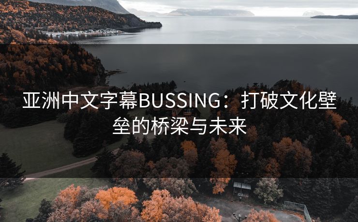 亚洲中文字幕BUSSING:打破文化壁垒的桥梁与未来 亚洲中文字幕BUSSING:打破文化壁垒的桥梁与未来