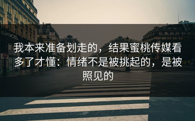 我本来准备划走的，结果蜜桃传媒看多了才懂：情绪不是被挑起的，是被照见的